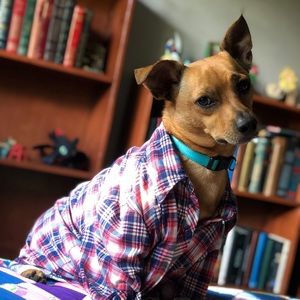 Meet your Posher, Yve